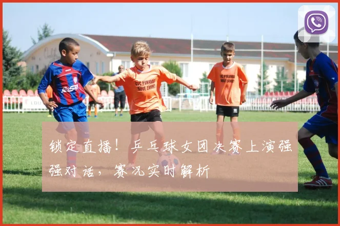 锁定直播！乒乓球女团决赛上演强强对话，赛况实时解析
